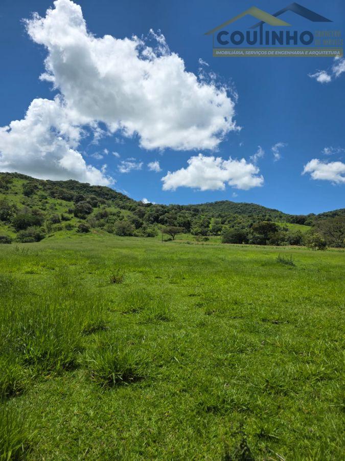 WhatsApp Image 2026-01-21 at 14.14.52 (3).jpeg